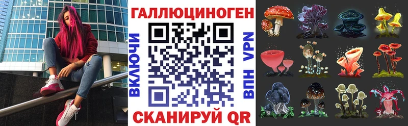 Купить  Губкинский  Псилоцибиновые грибы Psilocybine cubensis 
