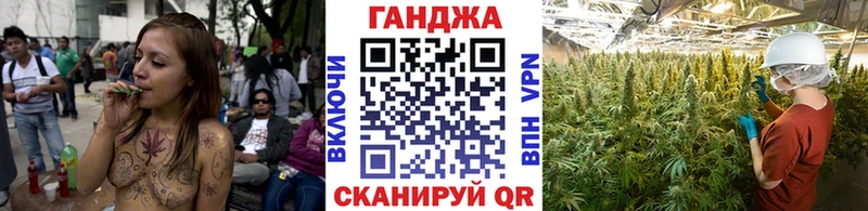Конопля White Widow  Купить где  Губкинский 